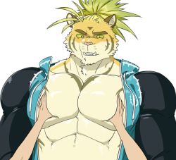 Rule 34 | 1boy, abs, alternate costume, animal ears, asutarou, bare pectorals, black eyes, colored sclera, fangs, furry, furry male, grabbing, green sclera, groping, hood, hooded jacket, jacket, large pectorals, looking at viewer, macan (housamo), male focus, muscular, muscular male, open clothes, open jacket, pectoral grab, pectorals, pov, short hair, sideburns, size difference, solo focus, thick eyebrows, tiger boy, tiger ears, tokyo houkago summoners, upper body, yellow fur