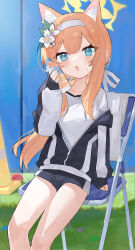 Rule 34 | 1girl, absurdres, animal ear fluff, black jacket, blue archive, blue eyes, blush, bottle, chair, collarbone, extra ears, feet out of frame, flower, gym shirt, hair flower, hair ornament, hairband, halo, highres, holding, holding bottle, jacket, long sleeves, looking at viewer, mari (blue archive), mari (track) (blue archive), measho, official alternate costume, open mouth, orange hair, shirt, sitting, solo, track jacket, water bottle, white flower, white hairband, white shirt, yellow halo