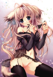 Rule 34 | 1girl, absurdres, animal ears, bottomless, dog ears, dog tail, garter belt, highres, holding, holding clothes, holding panties, holding underwear, izumi tsubasu, lace, lace panties, no panties, no pussy, panties, side-tie panties, solo, tail, thighhighs, underwear