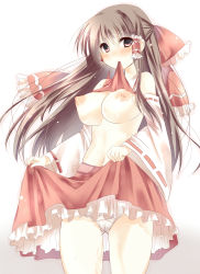 Rule 34 | 1girl, amane ruri, blush, bow, breasts, brown eyes, brown hair, clothes lift, detached sleeves, female focus, hair bow, hair tubes, hakurei reimu, highres, md5 mismatch, mouth hold, navel, nipples, no bra, panties, puffy nipples, red eyes, resolution mismatch, shirt lift, skirt, skirt lift, solo, source smaller, touhou, type (artist), underwear, upskirt, white panties