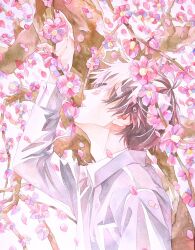 Rule 34 | 1boy, acf creator, arm up, brown hair, closed eyes, collared shirt, day, falling petals, flower, from side, highres, long sleeves, male focus, original, outdoors, painting (medium), parted lips, petals, pink flower, plum blossoms, shirt, short hair, solo, spring (season), standing, traditional media, tree, upper body, watercolor (medium), white shirt