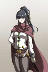 Rule 34 | 1girl, black eyes, black hair, cape, cowboy shot, high ponytail, highres, long hair, narberal gamma, overlord (maruyama), pants, parted lips, simple background, solo, sword, weapon, zetsuei (zetto)