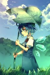Rule 34 | 1girl, blue eyes, blue hair, cirno, cloud, day, dress, embodiment of scarlet devil, female focus, gradient background, grass, leaf umbrella, matching hair/eyes, nature, outdoors, plant, profile, ribbon, short hair, sky, solo, standing, sunakumo, team shanghai alice, touhou, wet, wings