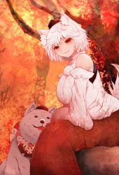 Rule 34 | 1girl, animal, animal ear fluff, animal ears, arano oki, arm rest, autumn leaves, bandages, bare shoulders, breasts, closed mouth, commentary request, detached sleeves, dog, eyelashes, graphite (medium), hat, highres, huge breasts, inubashiri momiji, large breasts, leaf, leaning forward, long skirt, looking at viewer, maple leaf, pom pom (clothes), red eyes, red skirt, sarashi, shirt, short hair, sitting, skirt, sleeveless, sleeveless shirt, smile, solo focus, tail, tokin hat, touhou, traditional media, white hair, white shirt, wolf ears, wolf tail
