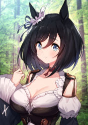 Rule 34 | 1girl, absurdres, animal ears, black hair, blue ribbon, bow, breasts, choker, cleavage, closed mouth, collarbone, commentary request, ear ribbon, eishin flash (umamusume), forest, green322, hair between eyes, highres, horse ears, horse girl, looking at viewer, medium breasts, nature, red choker, ribbon, short hair, smile, solo, tree, umamusume, upper body