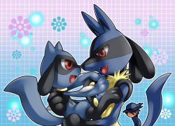 Rule 34 | 00s, 1boy, age difference, bad id, bad pixiv id, blush, creatures (company), evolutionary line, father and son, game freak, gen 4 pokemon, lucario, mother and child, nintendo, pokemon, pokemon (creature), red eyes, riley (pokemon), riolu, smile, wauwa