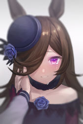 Rule 34 | 1girl, 1other, animal ears, bare shoulders, black dress, black headwear, blue flower, blue rose, blush, brown hair, collarbone, commentary request, crying, crying with eyes open, dress, flower, grey background, hair over one eye, hand on another&#039;s cheek, hand on another&#039;s face, hand up, hat, hat flower, highres, horse ears, jfjf, long hair, long sleeves, looking at viewer, off-shoulder dress, off shoulder, out of frame, purple eyes, rice shower (umamusume), rose, simple background, sleeves past wrists, smile, solo focus, tears, tilted headwear, umamusume, upper body