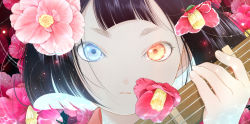 Rule 34 | 1girl, biwa (heike monogatari), biwa lute, black hair, blue eyes, bob cut, child, close-up, closed mouth, eyelashes, feathers, floating hair, flower, flower request, hair flower, hair ornament, hand up, heike monogatari, heterochromia, holding, holding instrument, instrument, light particles, looking at viewer, lute (instrument), mochikin (jijijin), name connection, object namesake, orange eyes, portrait, red flower, short hair, solo, straight-on, string