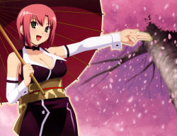 Rule 34 | 1girl, absurdres, adapted costume, breasts, cherry blossoms, choker, cleavage, detached sleeves, green eyes, highres, japanese clothes, kimono, large breasts, oil-paper umbrella, parasol, pink hair, red hair, rio rollins, short hair, smile, solo, super blackjack, tree, umbrella