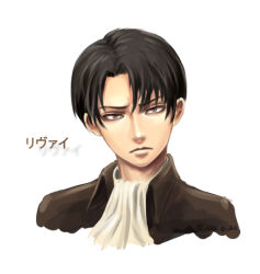 Rule 34 | 1boy, ascot, black hair, brown jacket, closed mouth, greenteaa, grey eyes, jacket, levi (shingeki no kyojin), looking at viewer, male focus, portrait, shingeki no kyojin, shirt, short hair, simple background, solo, translated, white ascot, white background