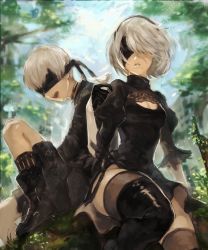 Rule 34 | 1boy, 1girl, animal, bird, bird on hand, black footwear, black thighhighs, blindfold, boots, breasts, cleavage, cleavage cutout, clothing cutout, dress, gloves, grass, highres, juliet sleeves, lips, long sleeves, mole, mole under mouth, nier (series), nier:automata, niru (17185924), open mouth, pale skin, parted lips, puffy sleeves, short hair, shorts, sitting, smile, thigh boots, thighhighs, tree, white hair, 2b (nier:automata), 9s (nier:automata)