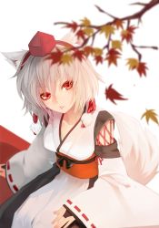 Rule 34 | 1girl, animal ears, bad id, bad pixiv id, bridal gauntlets, female focus, hat, highres, inubashiri momiji, japanese clothes, kourindou tengu costume, leaf, lips, looking at viewer, maple leaf, red eyes, revision, settyaro, short hair, sitting, solo, tail, tokin hat, touhou, branch, white hair, wolf ears, wolf tail