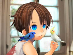 Rule 34 | 1boy, bird, blue eyes, brown hair, child, cockatiel, highres, holding, indoors, male focus, parrot, portrait, shirt, short hair, sitting, sitting on shoulder, sleeveless, sleeveless shirt, smile, solo, source request, tokenoko