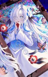 Rule 34 | 1girl, abstract background, blood, blood stain, blue dress, blue hair, branch, bug, butterfly, creature, dress, familiar, flower, grey eyes, hair flower, hair ornament, hair over one eye, heterochromia, highres, insect, isekai joucho, kamitsubaki studio, long hair, long sleeves, multicolored hair, own hands together, picture frame, red eyes, solo, two-tone dress, two-tone hair, upper body, virtual youtuber, white dress, white hair, yang yang030