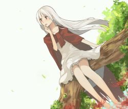 Rule 34 | 1girl, albino, barefoot, cape, dress, elysion, flower, highres, hood, hrmnas, in tree, lafrenze, long hair, red cape, red eyes, sitting, sitting in tree, solo, sound horizon, spider lily, tree, white dress, white hair