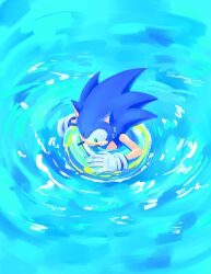 Rule 34 | 1boy, absurdres, animal ears, animal nose, blue theme, commentary request, from above, furry, furry male, gloves, green eyes, highres, innertube, korean commentary, male focus, open mouth, solo, sonic (series), sonic the hedgehog, sweat, swim ring, water, white gloves, yangfaa sonic