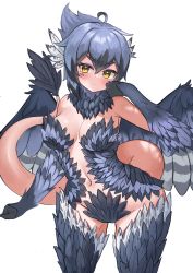Rule 34 | 1girl, absurdres, ahoge, bare shoulders, blush, commentary, commission, eyeshadow, facial mark, feathered wings, grey feathers, grey hair, grey wings, hair between eyes, harpy, highres, makeup, medium hair, monster girl, navel, neck ruff, original, pocari (sq551), simple background, solo, tail, white background, wings, yellow eyes
