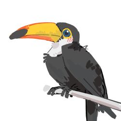 Rule 34 | animal focus, beak, bird, blue eyes, branch, chinese commentary, commentary request, light blush, no humans, original, simple background, solo, toucan, white background, zhanghemankong