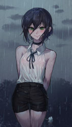 Rule 34 | 1girl, arms behind back, black choker, black hair, black ribbon, black shorts, blush, breasts, bush, chainsaw man, choker, closed mouth, cloud, cloudy sky, collared shirt, commentary, covered erect nipples, cowboy shot, flower, green eyes, grey sky, hair between eyes, holding, holding flower, laon, looking at viewer, neck ribbon, no bra, outdoors, rain, reze (chainsaw man), ribbon, see-through, shirt, shirt tucked in, short hair, short shorts, shorts, sky, slaon55, sleeveless, sleeveless shirt, small breasts, smile, solo, standing, thigh gap, wet, wet clothes, wet hair, wet shirt, white shirt, wing collar