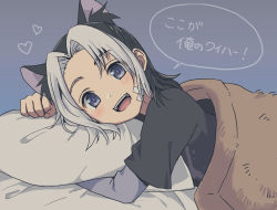 Rule 34 | 1boy, animal ears, bandages, bandage on face, black hair, blue eyes, blush, cat ears, commentary request, heart, highres, kawara bee, looking at viewer, male focus, medium hair, multicolored hair, oginy, open mouth, partial commentary, pillow, smile, solo, two-tone hair, uchi no tama shirimasen ka?, white hair