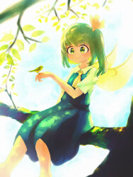 Rule 34 | 1girl, animal, ascot, bird, bird on hand, blue dress, closed mouth, collared shirt, daiyousei, dress, fairy, fairy wings, fingernails, green eyes, green hair, highres, in tree, leaf, long hair, shirt, short sleeves, side ponytail, sitting, sitting in tree, smile, solo, touhou, tree, white shirt, wings, yellow ascot, yoirone