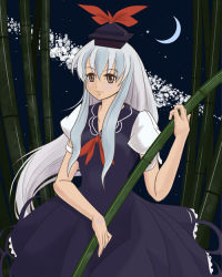 Rule 34 | 1girl, bamboo, bamboo forest, blue hair, female focus, forest, hat, kamishirasawa keine, long hair, milky way, nature, neio, ribbon, solo, star (sky), touhou