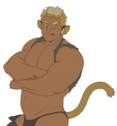 1boy, :q, animal ears, bandaid, bandaid on nose, bara, bare pecs, belly, bikini briefs, black male underwear, blonde hair, blush, bulge, character request, cowboy shot, crossed arms, dark skin, dark skinned male, flat color, gimseonghoe, green shirt, jaguar boy, jaguar ears, jaguar tail, large pectorals, looking at viewer, male focus, male underwear, muscular, muscular male, navel, open pants, pants, shirt, shirt around neck, short hair, sideburns, solo, stomach, tail, tokyo houkago summoners, tongue, tongue out, underwear, undressing