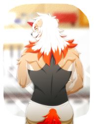 Rule 34 | 1boy, animal ears, arknights, ass, back, bara, bare shoulders, black tank top, blush, brown fur, casual, dog boy, dog ears, dog tail, from behind, furry, furry male, highres, horns, hung (arknights), jityousinai89, long hair, male focus, multicolored hair, muscular, muscular male, orange eyes, orange hair, pants, protected link, single horn, smile, solo, streaked hair, tail, tank top, two-tone fur, white fur, white hair, white pants