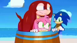 Rule 34 | amy rose, animated, beach, cheating (relationship), cum, cum in ass, cum out mouth, excito, furry, highres, implied anal, implied sex, knuckles the echidna, netorare, public indecency, sonic (series), sonic the hedgehog, sound, tagme, video