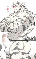 Rule 34 | 1boy, animal ears, arknights, ass, bara, blush, bulge, cowboy shot, crossed arms, erection, erection under clothes, furry, furry male, highres, jockstrap, large pectorals, male focus, male underwear, mountain (arknights), muscular, muscular male, pectorals, scar, scar across eye, see-through, short hair, solo, thick eyebrows, thick navel hair, tiger boy, tiger ears, topless male, underwear, weisun (leoooliooon), wet, wet clothes, wet male underwear, white hair