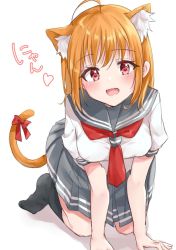 Rule 34 | 1girl, :d, ahoge, all fours, animal ear fluff, animal ears, bad id, bad twitter id, black socks, blush, bow, cat ears, cat tail, commentary request, fang, grey skirt, heart, kemonomimi mode, looking at viewer, love live!, love live! sunshine!!, minori 748, neckerchief, no shoes, nyan, open mouth, orange hair, pleated skirt, red bow, red eyes, red neckerchief, school uniform, serafuku, short hair, short sleeves, skirt, smile, socks, solo, tail, tail bow, tail ornament, takami chika, uranohoshi school uniform, white background