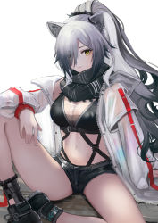 Rule 34 | 1girl, absurdres, animal ears, arknights, black footwear, black scarf, black shorts, breasts, cat ears, commentary, crop top, ema (kuguiema), hair over one eye, highres, jacket, knee up, large breasts, long hair, long sleeves, looking at viewer, midriff, navel, open clothes, open jacket, scarf, schwarz (arknights), shoes, short shorts, shorts, silver hair, simple background, sitting, solo, stomach, thighs, very long hair, white background, white jacket, yellow eyes