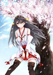 Rule 34 | 10s, 1girl, absurdres, black hair, black thighhighs, brown eyes, cherry blossoms, collarbone, day, detached sleeves, from below, hair between eyes, hair ornament, hakama, hakama short skirt, hakama skirt, haruna (kancolle), highres, japanese clothes, kantai collection, lace-trimmed sleeves, lace trim, long hair, looking at viewer, miko, minami machi, outdoors, red hakama, red ribbon, ribbon, skirt, sky, solo, standing, thighhighs, wind