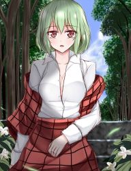 Rule 34 | 1girl, bad id, bad pixiv id, blue sky, blush, breasts, cleavage, cloud, collarbone, day, flower, forest, green hair, kazami yuuka, large breasts, long sleeves, looking at viewer, nature, no bra, off shoulder, open clothes, open mouth, open shirt, open vest, red eyes, shirt, short sleeves, skirt, sky, solo, stairs, touhou, vest, wendell