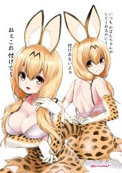 Rule 34 | 10s, 1girl, alternate breast size, alternate hair length, alternate hairstyle, animal ears, blonde hair, blush, breasts, brown eyes, cat ears, cat tail, cleavage, highres, kemono friends, kuroba dam, large breasts, long hair, looking at viewer, looking back, open mouth, serval (kemono friends), smile, tail, translation request, twintails
