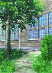Rule 34 | absurdres, building, bush, cat, day, grass, highres, hirota (masasiv3), no humans, outdoors, road, scenery, tongue, tongue out, tree, window