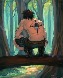 Rule 34 | 1boy, a phu, arm tattoo, back, back focus, back tattoo, black hair, forest, from behind, highres, male focus, nature, one piece, portgas d. ace, shoulder tattoo, solo, squatting, tattoo, topless male