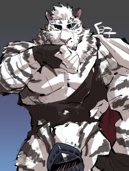 Rule 34 | 1boy, animal ears, arknights, bara, black tank top, chain, chain necklace, furry, furry male, highres, jewelry, large pectorals, male focus, mountain (arknights), muscular, muscular male, necklace, pectorals, scar, scar across eye, scar on arm, scar on face, shirako (kirupi), sidepec, tank top, tiger ears, torn clothes