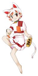 Rule 34 | 1girl, animal ears, barefoot, bell, cat ears, cat girl, cat tail, collar, flat chest, full body, goutokuji mike, grey collar, highres, jingle bell, multicolored hair, neck bell, nonamejd, official style, orange eyes, orange hair, puffy short sleeves, puffy sleeves, red hair, shirt, short hair, short sleeves, shorts, simple background, smile, solo, tail, touhou, white background, white hair, zun (style)