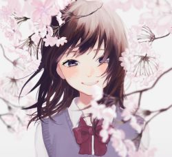 Rule 34 | 1girl, blurry, blurry foreground, blush, bow, bowtie, branch, brown hair, cherry blossoms, collared shirt, commentary request, depth of field, grin, highres, looking at viewer, original, p2 (uxjzz), purple eyes, purple vest, red bow, red bowtie, shirt, smile, solo, sweater vest, upper body, vest, wing collar