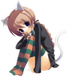 Rule 34 | 00s, 1girl, animal ears, bad id, bad pixiv id, blue eyes, blush, braid, brown hair, feet, long hair, lynette bishop, multicolored clothes, multicolored legwear, sazaki ichiri, single braid, smile, solo, strike witches, striped clothes, striped thighhighs, tail, thighhighs, world witches series
