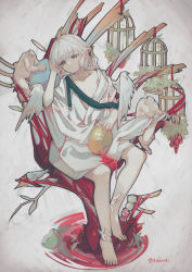 Rule 34 | 1girl, barefoot, birdcage, bright pupils, brown eyes, cage, closed mouth, commentary request, egg, feathered wings, food, fruit, full body, grapes, grey background, halo, highres, long hair, looking at viewer, original, robe, scales, short sleeves, sitting, solo, toes, watori re, white hair, white pupils, white robe, wings