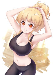 Rule 34 | 1girl, absurdres, black pants, blonde hair, bra, breasts, breasts day, cleavage, closed mouth, crop top, good breasts day, highres, large breasts, lusan666, medium breasts, midriff, navel, original, pants, ponytail, smile, solo, sports bra, stomach, underwear