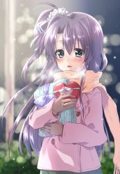 Rule 34 | 1girl, blue eyes, blurry, blurry background, blush, box, breath, collar, commentary request, commission, fringe trim, gift, gift box, gloves, grey gloves, hair ornament, hair ribbon, hair scrunchie, heart-shaped box, highres, holding, holding gift, kuroi mimei, long hair, long sleeves, looking at viewer, lyrical nanoha, mahou shoujo lyrical nanoha vivid, one side up, open mouth, orange scarf, outdoors, pink collar, purple hair, ribbon, scarf, scrunchie, skeb commission, smile, solo, standing, upper body, valentine, white ribbon, white scrunchie, winter clothes, yumina enclave