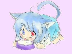 animal_ears blue_eyes blue_hair bowl cat_ears cat_tail dorosu heterochromia kemonomimi_mode milk red_eyes tail tatara_kogasa touhou