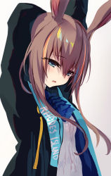 Rule 34 | 1girl, absurdres, amiya (arknights), animal ears, arknights, arm behind head, arms up, ascot, black jacket, blouse, blue ascot, blue eyes, blush, brown hair, clothes writing, diieru, hair between eyes, highres, jacket, long hair, looking at viewer, parted lips, rabbit ears, shirt, sidelocks, simple background, solo, stretching, upper body, white background, white shirt