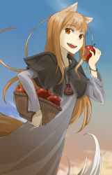 Rule 34 | 1girl, animal ears, apple, basket, blush, bracelet, brown hair, derivative work, dress, eating, food, fruit, highres, holding, holding food, holding fruit, holo, jewelry, long hair, namacha, pouch, red eyes, smile, solo, spice and wolf, supaisuanndoworuhu, tail, wolf ears, wolf tail