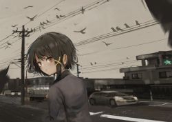 Rule 34 | 1girl, absurdres, asymmetrical hair, bird, black hair, black jacket, blurry, blurry background, brown eyes, car, commentary, day, depth of field, eliot (eokaitekaite969), english commentary, eyebrows hidden by hair, from behind, hair ornament, highres, iwakura lain, jacket, lamppost, looking at viewer, looking back, motor vehicle, outdoors, overcast, parted lips, power lines, road, serial experiments lain, short hair with long locks, single sidelock, sky, solo, street, traffic light, upper body, x hair ornament