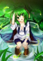 Rule 34 | 1girl, absurdres, antennae, biburu, breasts, cape, cleavage, fireflies, flower, grass, green eyes, green hair, hand in own hair, hand on own knee, head tilt, highres, in water, light trail, lily of the valley, looking at viewer, matching hair/eyes, moss, open mouth, rock, short hair, sidelocks, sitting, solo, touhou, wet, wet clothes, wet hair, wriggle nightbug