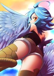 Rule 34 | 1girl, bird legs, black shirt, blouse, blue feathers, blue hair, brown eyes, feathers, harpy, highres, messy hair, monster girl, monster musume no iru nichijou, papi (monster musume), shirt, solo, winged arms, wings